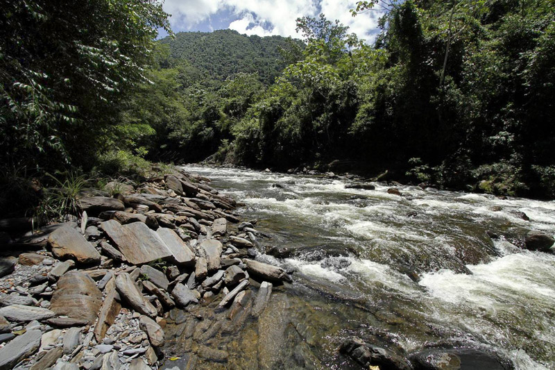 Caranavi 800 m. Yungas, Bolivia d.  10 January 2014. Photographer:  Ole Andersen