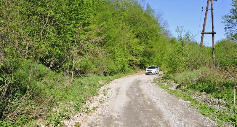 Lokalitet for Sydeuropisk Svalehale. Rupea, Transylvania, Rumnien d.  26 april 2014. Fotograf; Tom Nygaard Kristensen