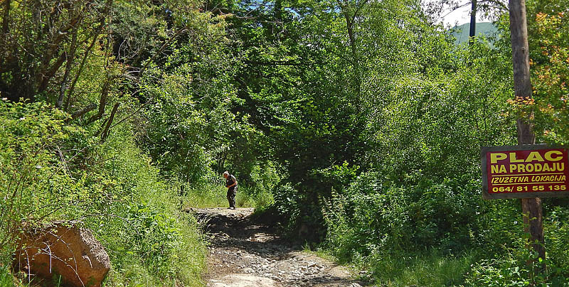 Stara Planina bjergmassivet, Serbien d. 26 juni 2014. Fotograf; Tom Nygaard Kristensen