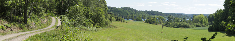 Lokalitet for Astragelblåfugl, Plebejus argyrognomon i det nordlige Småland, Sverige d. 17 juli  2014. Fotograf; Lars Andersen