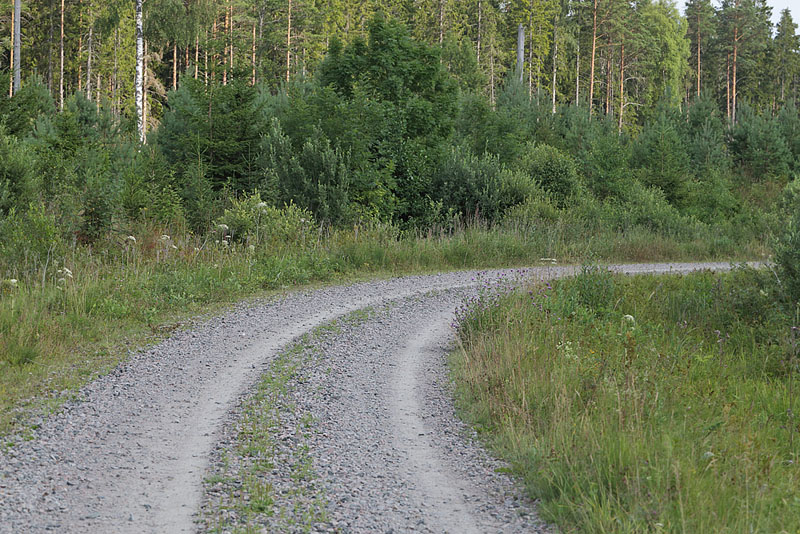 Fjärilsvägen, Grinduga, Gävle, Gästrikland, Sverige. d. 26 juli 2014. Fotograf:  Lars Andersen