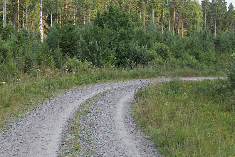 Fjrilsvgen, Grinduga, Gvle, Gstrikland, Sverige. d. 26 juli 2014. Fotograf:  Lars Andersen