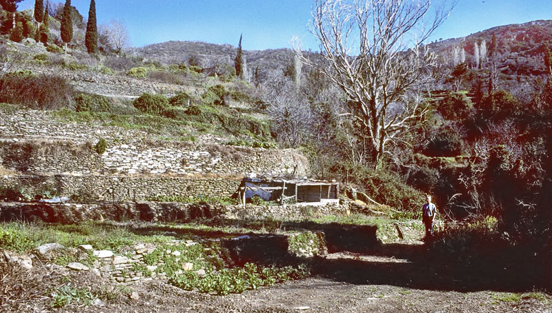Lokalitet for Glassommerfugl, Archon apollinus. Óros Karvoúni, Samos, Grækenland d. 1 april 2006. Fotograf; Tom Nygaard Kristensen