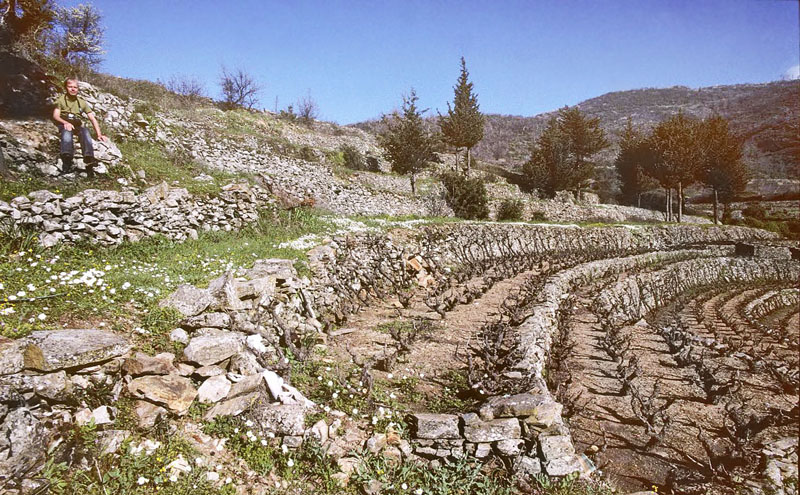 Lokalitet for Glassommerfugl, Archon apollinus. ros Karvoni, Samos, Grkenland d. 1 april 2006. Fotograf; Tom Nygaard Kristensen