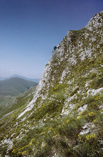 Lokalitet for stlig Skiferblfugl, Agriades dardanus. ros rvilos, 2000 m, Drma, Grkenland d. 30 juni 1998. Fotograf; Tom N. Kristensen