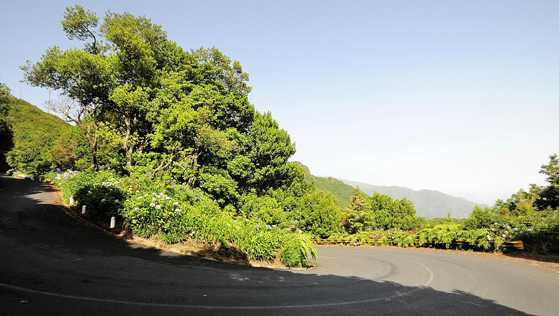 Encumeada, Madeira, 875 m. Portugal  d. 10 august 2015. Fotograf; Tom Nygaard Kristensen