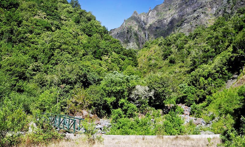 Nogueira, Madeira, 875 m. Portugal d. 10 august 2015. Fotograf; Tom Nygaard Kristensen