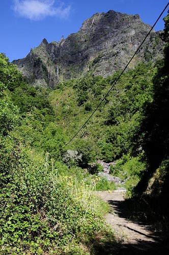 Nogueira, Madeira, 875 m. Portugal  d. 10 august 2015. Fotograf; Tom Nygaard Kristensen