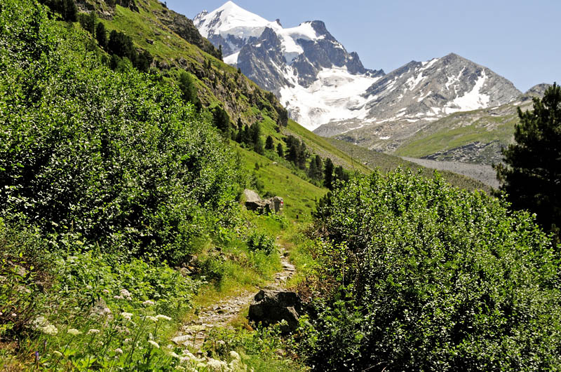 Val Roseg Elevation: 2000 m. Graubnden, Schweiz d 9 juli 2015. Fotograf; Tom Nygaard Kristensen