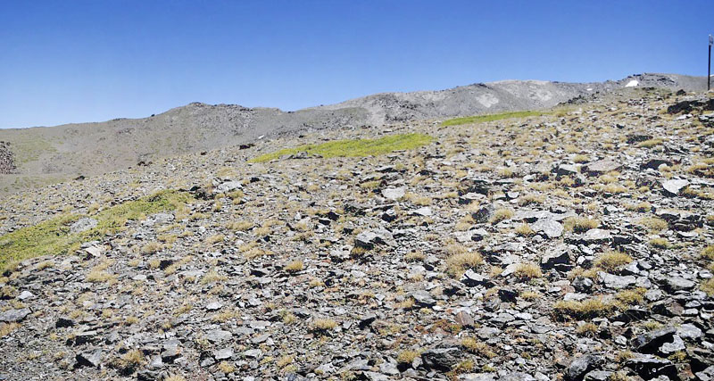 Observatorio, Sierra Nevada, elevation: 2750 m. Andalusia, Spain d. 11  juli 2014. Photographer; Tom N. Kristensen