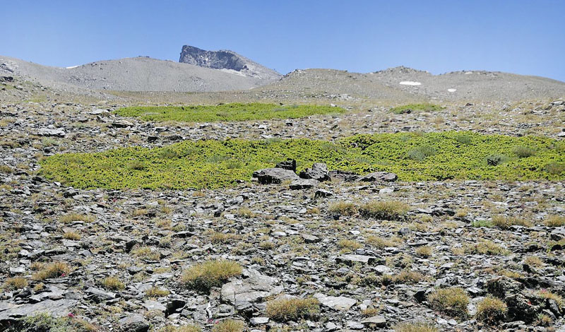 Observatorio, Sierra Nevada, elevation: 2750 m. Andalusia, Spain d. 11  juli 2014. Photographer; Tom N. Kristensen