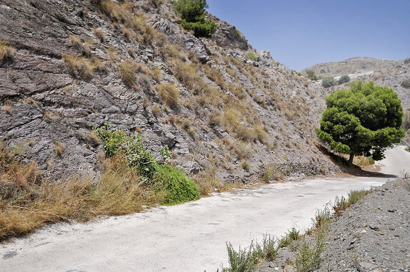 La Rbita, prov. Almeria July 14, 2014. Photographer; Tom Nygaard Kristensen