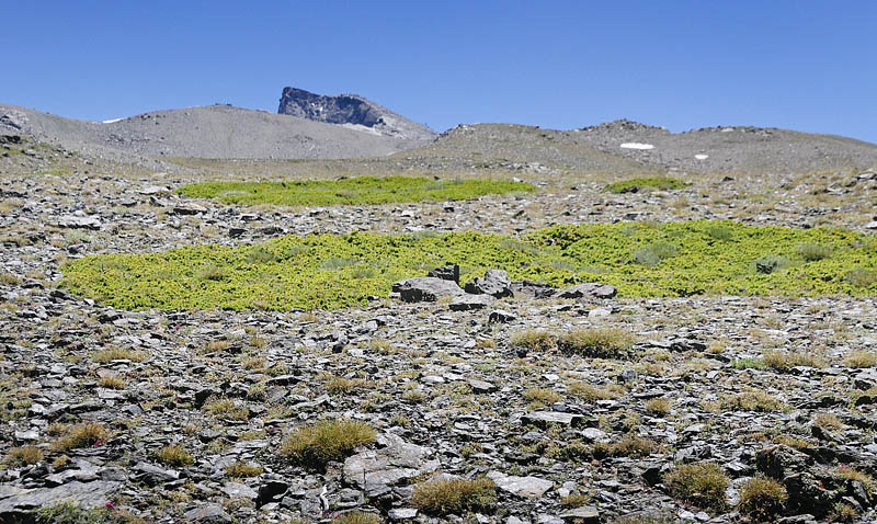 Observatorio, Sierra Nevada, elevation: 2750 m. Andalusia, Spain d. 11  juli 2014. Photographer; Tom N. Kristensen