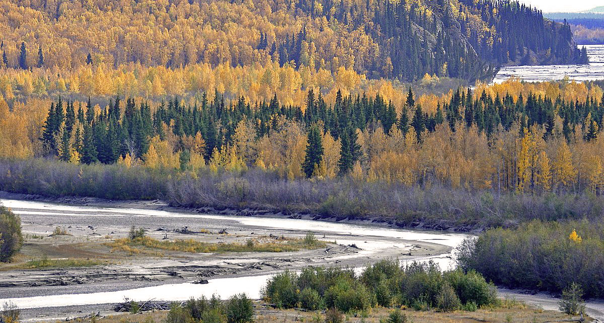  About 100km south on Fairbanks, Alaska, USA d. 13  september 2014. Photographer;  Carsten Siems