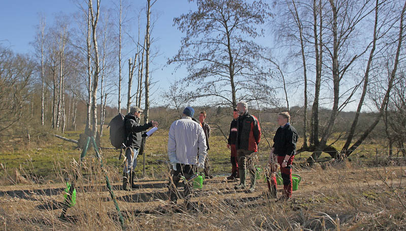 Stenholt Indelukket, Gribskov, Nordsjælland d. 16 marts 2016. Fotograf; Lars Andersen