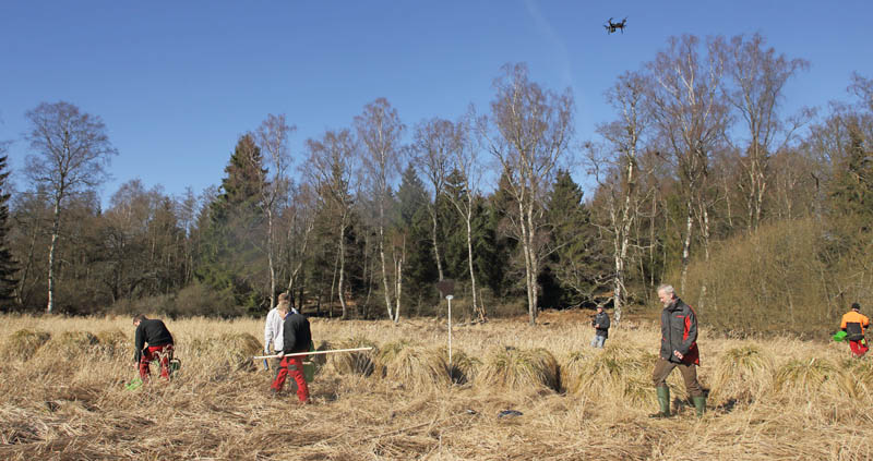 Stenholt Indelukket, Gribskov, Nordsjælland d. 16 marts 2016. Fotograf; Lars Andersen