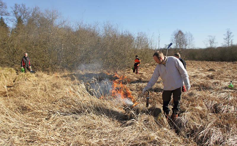 Stenholt Indelukket, Gribskov, Nordsjælland d. 16 marts 2016. Fotograf; Lars Andersen