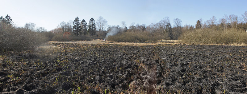 Stenholt Indelukket, Gribskov, Nordsjælland d. 16 marts 2016. Fotograf; Lars Andersen