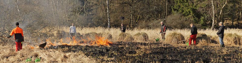 Stenholt Indelukket, Gribskov, Nordsjælland d. 16 marts 2016. Fotograf; Lars Andersen