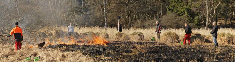 Stenholt Indelukket, Gribskov, Nordsjlland d. 16 marts 2016. Fotograf; Lars Andersen