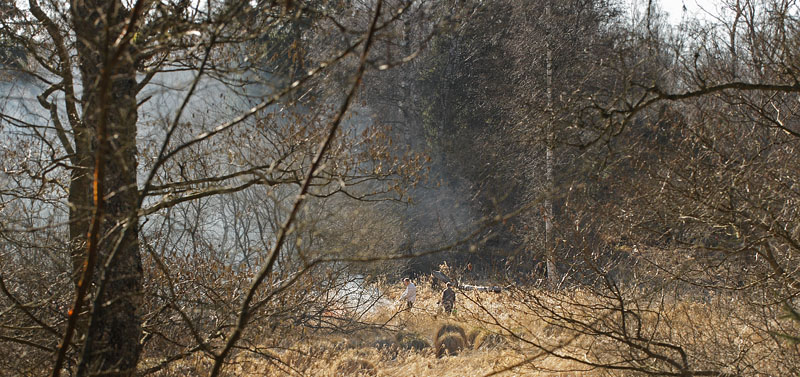 Stenholt Indelukket, Gribskov, Nordsjlland d. 16 marts 2016. Fotograf; Lars Andersen