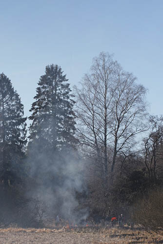 Stenholt Indelukket, Gribskov, Nordsjlland d. 16 marts 2016. Fotograf; Lars Andersen