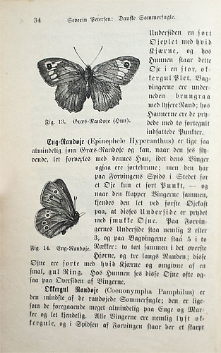 "Danske Sommerfugle" Ved Severin Petersen, Lærer i Slotsbjergby. Udgivet i 1885.