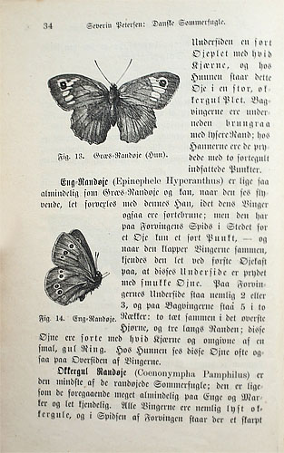 "Danske Sommerfugle" Ved Severin Petersen, Lrer i Slotsbjergby. Udgivet i 1885.