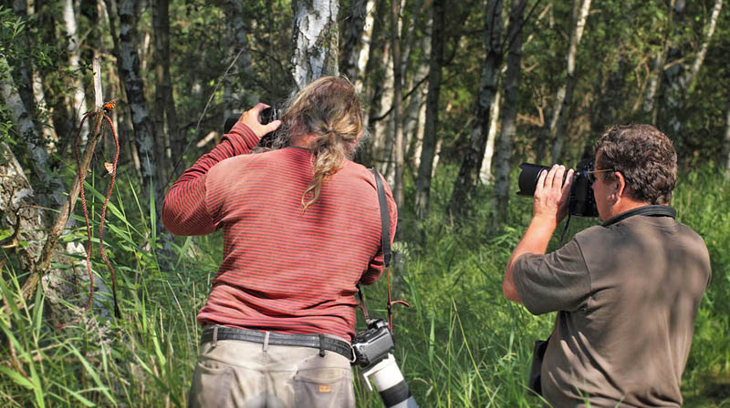 Lars Andersen & Lars Adler Krogh ved at fotograferer Østlig Takvinge & Ilia. Pinseskoven, Vestamager d. 11 juli 2014. Fotograf: Jan Eske Schmidt