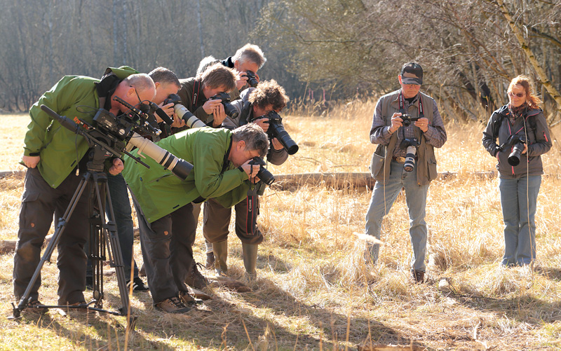 Pinseskoven, Vestamager d. 20 Marts 2014. Fotograf; Lars Andersen