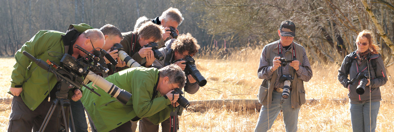 Pinseskoven, Vestamager d. 20 Marts 2014. Fotograf; Lars Andersen