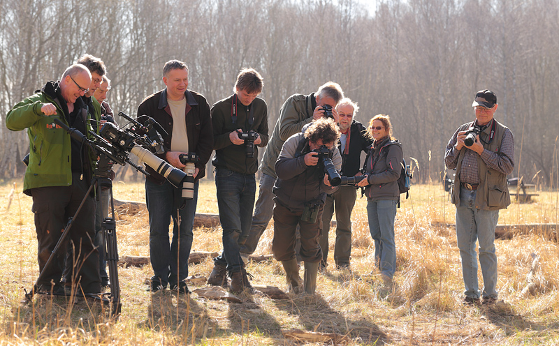 Pinseskoven, Vestamager d. 20 Marts 2014. Fotograf; Lars Andersen