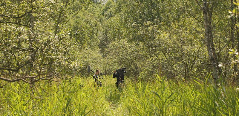 The Nigel Marven film crew in Pinseskoven, Denmark 8th August 2014. Photographer; Lars Andersen