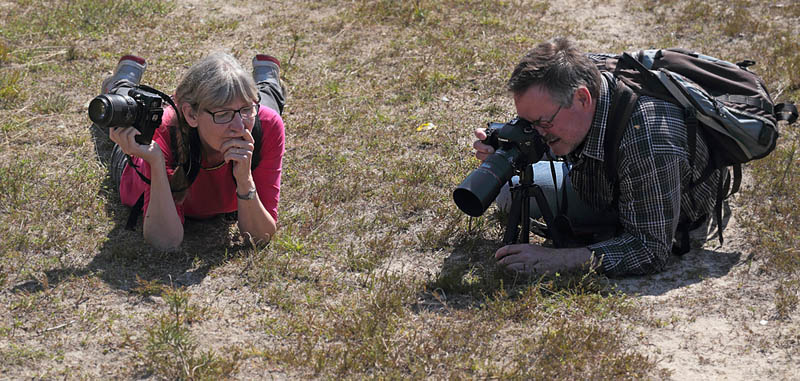 2 naturfotografer ved at fotograferer Spættet Bredpande, Pyrgus malvae parring. Melby Overdrev, Nordsjælland. d. 16 Maj 2014. Fotograf: Lars Andersen