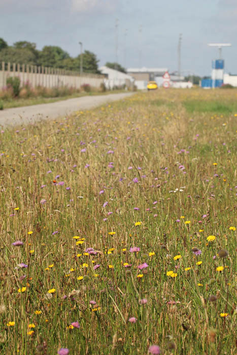 Billund Lufthavn, Sydjylland d. 18 juli 2014. Fotograf; Morten DD Hansen