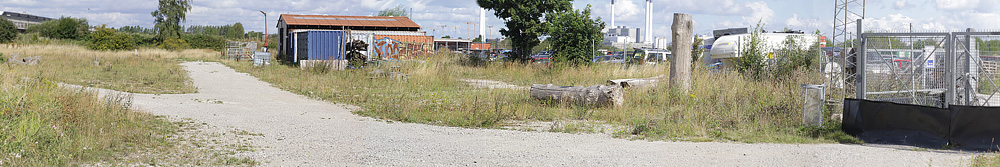 Lokalitet for Vejrandje, Lasiommata megera. Prags Boulevard/ Pyrolysegrunden, Amager. d. 14 august 2014. Fotograf: Lars Andersen