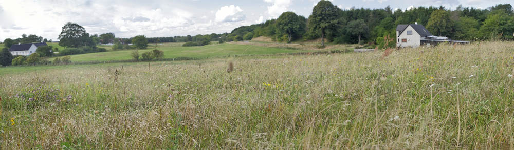 Hegnstrup st for Slangerup, Nordsjlland d. 21 august 2014. Fotograf, Lars Andersen