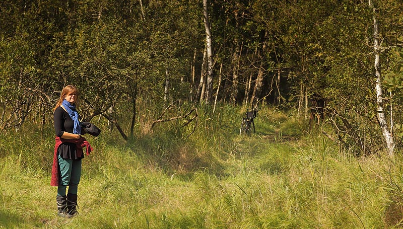 Pinseskoven, d 24  August 2014. Fotograf; Lars Andersen