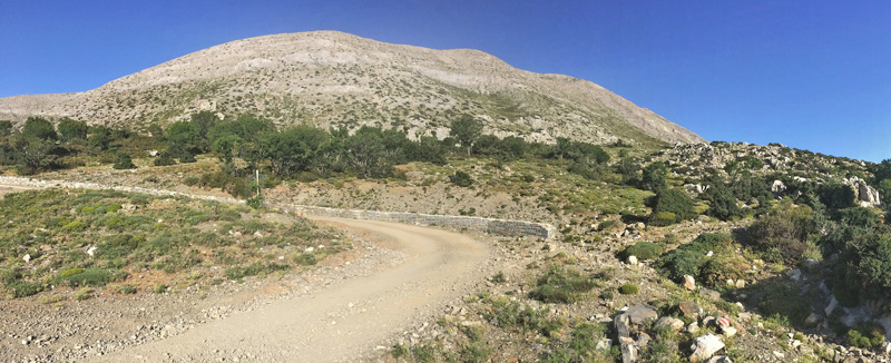 Ideon Andron (1400-1500 m), Nida Plateau, Psiloritis, prov. Mylopotamos, Kreta, Grkenland.  d. 27 maj 2021. Fotograf; Emil Bjerregrd