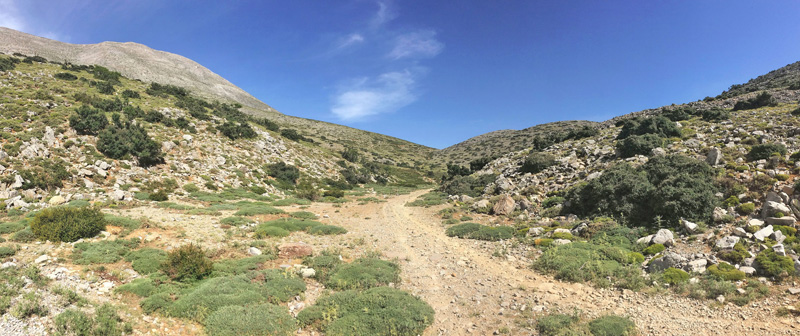 Ideon Andron (1400-1500 m), Nida Plateau, Psiloritis, prov. Mylopotamos, Kreta, Grkenland.  d. 27 maj 2021. Fotograf; Emil Bjerregrd