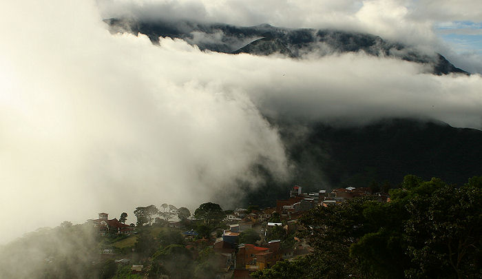 Coroico, Yungas, Bolivia d. 22 januar 2006. Fotograf: Lars Andersen