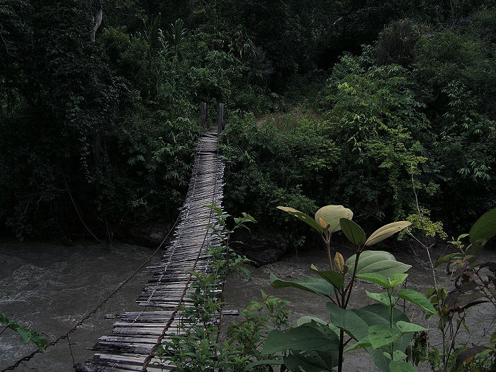 Caranavi, Yungas, Bolivia d. 5 februar 2006. Fotograf: Peter Mllmann