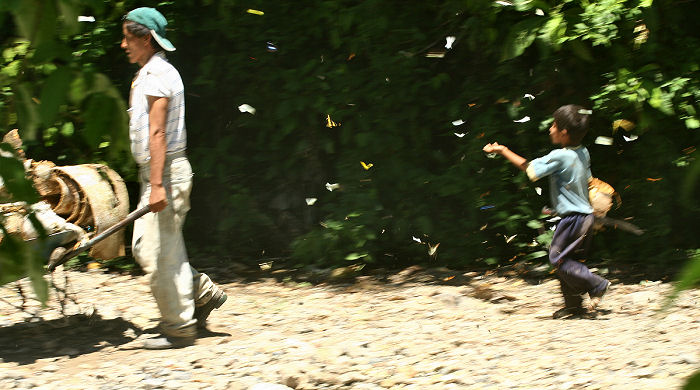 Caranavi, Yungas, Bolivia. d. 30 januar 2006. Fotograf: Lars Andersen