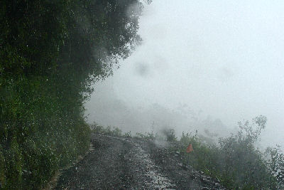 Habitats for Morpho sulkowskyi. The Worlds Most Dangerous Road from La Cumbre to Coroico: 2700 m.a., Yungas, Bolivia. d. 11 january 2006. Photographer: Lars Andersen