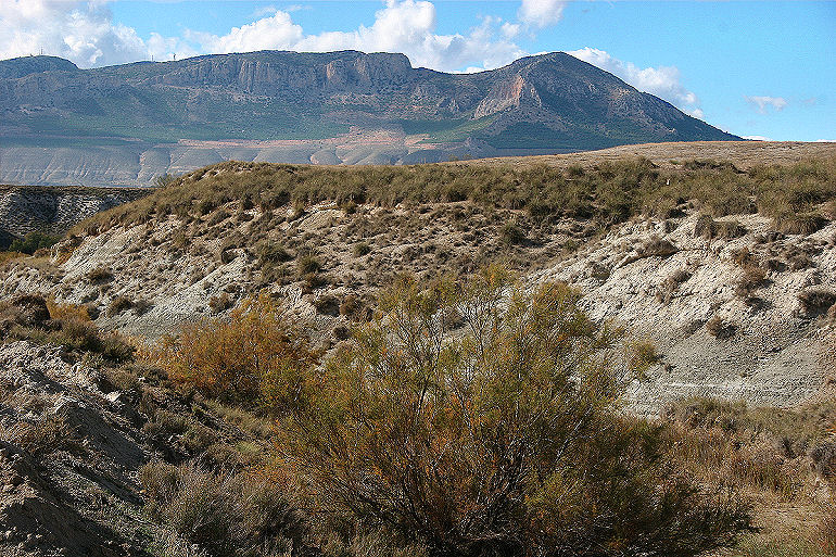 Spain, prov. Almeria, 700 m 10 km NNE Baza, at Rio de Baza, 3734'08"N, 0243'15"W d. 31 oktober 2005. Fotograf: Bjarne Skule