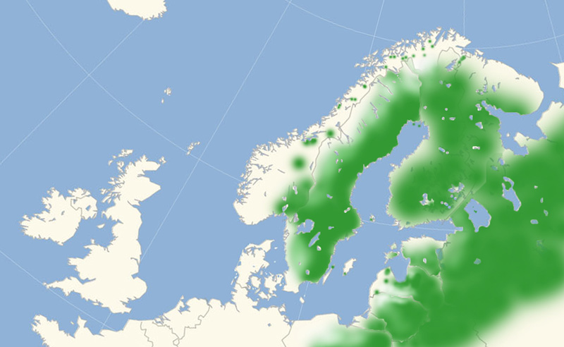 Mosehøsommerfugl udbredelse i Nordeuropa, kort lavet af Lars Andersen juli 2017.