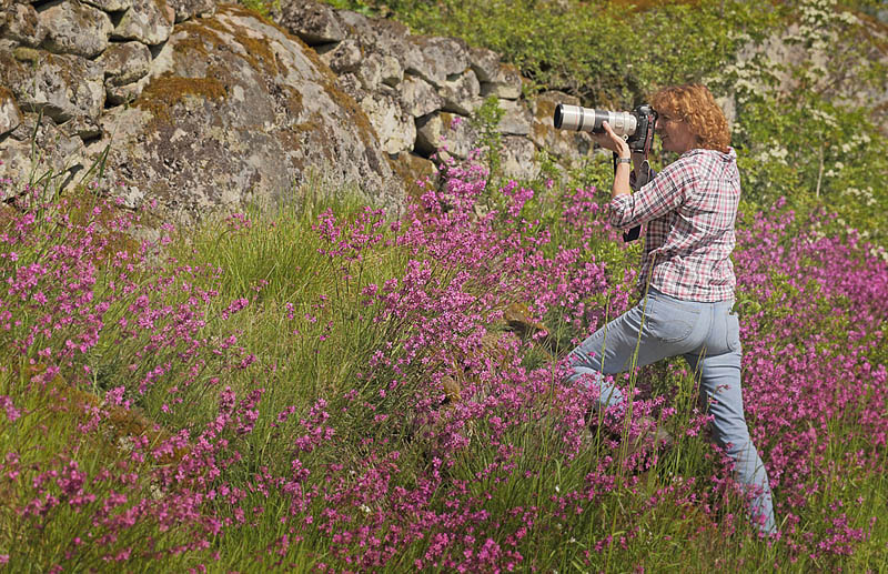 Regitze Enoksen fotograferer en Vejrandje. Ronneby, Blekinge d. 5 juni 2015. Fotograf; Lars Andersen