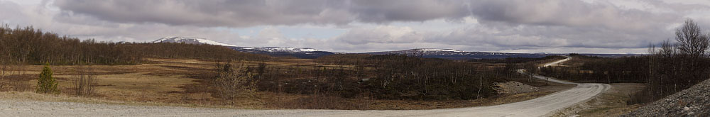 Sydligste lokalitet for Norna. Burvallen, Tnns, Hrjedalen, Sverige  d. 13 juni 2015. Fotograf; Lars Andersen