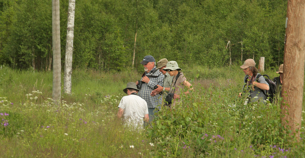 Daniel Green fra Birdsafarisweden op med 9 engelske fotografer p lokaliteten. Fagersta, Vstmanland, Sverige d. 30 juni 2015. Fotograf; Lars Andersen