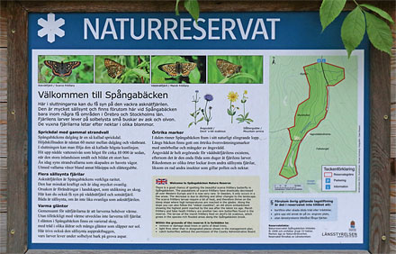 Naturreservat: Spngabcken, Munkhyttan, Sverige d. 1 juli 2015. Fotograf;  Lars Andersen